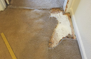 Carpet Repair | RD Carpet Repair | Reno, NV | (775) 250-0926 Carpet Repair | RD Carpet Repair | Reno, NV | (775) 250-0926
