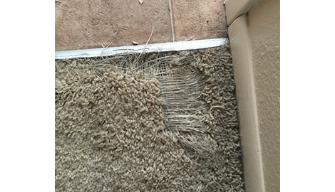 Carpet Repair | RD Carpet Repair | Reno, NV | (775) 250-0926 Carpet Repair | RD Carpet Repair | Reno, NV | (775) 250-0926